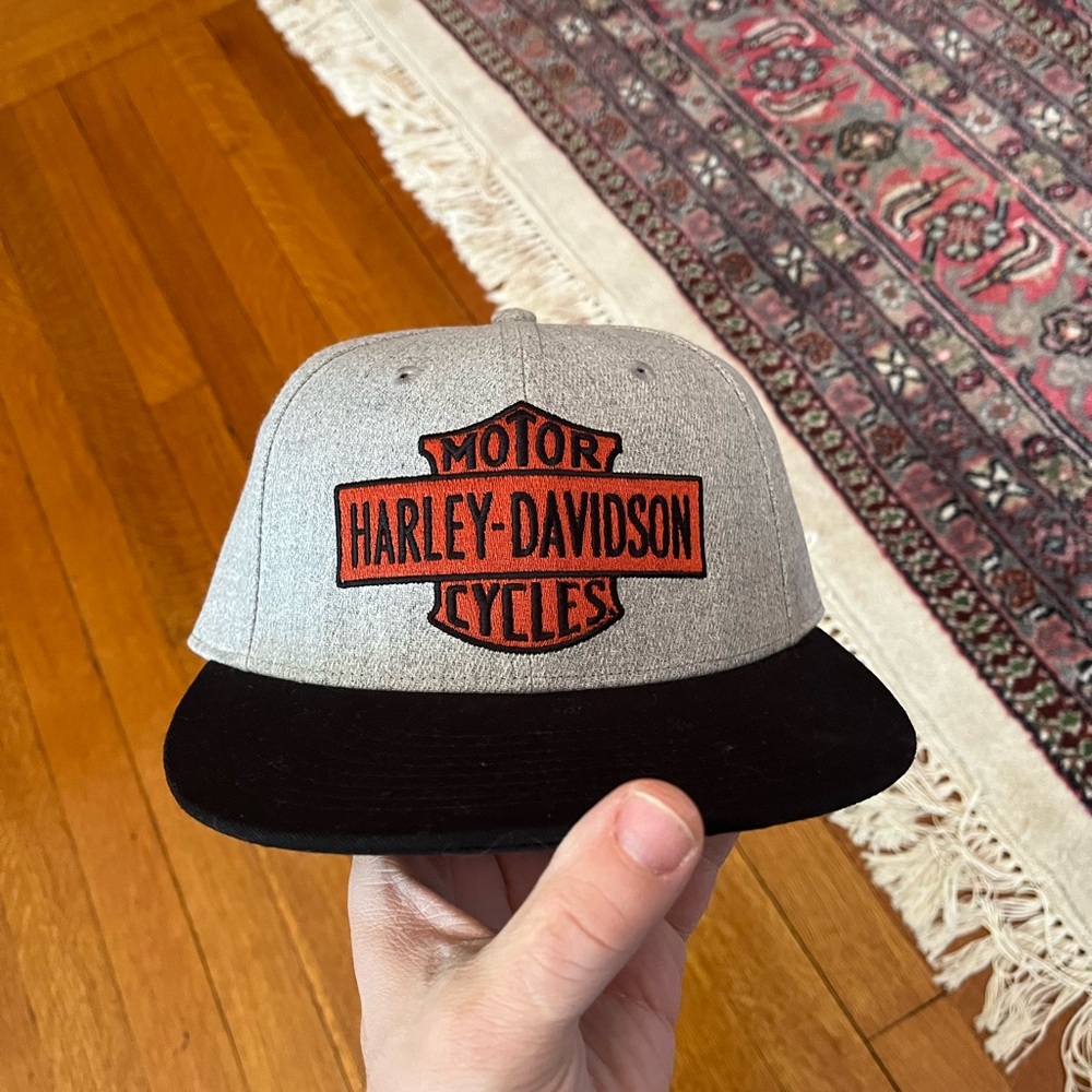 Harley-Davidson Gray and Black Cap
